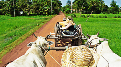 Siem Reap Family Holiday Tour 6 Days