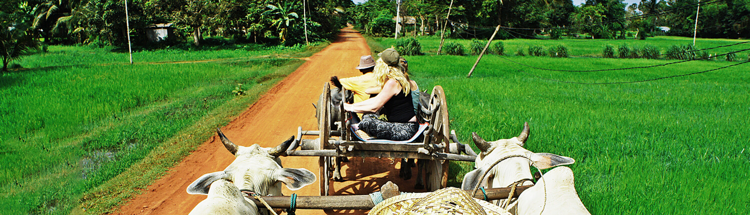 Siem Reap Village Ox Cart Ride