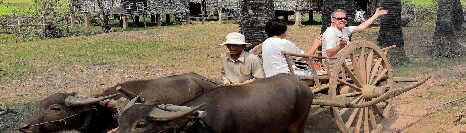 Siem Reap Village Ox Cart Ride
